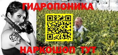 МДПВ Краснознаменск