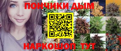 МДПВ Краснознаменск