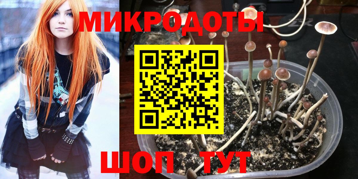 Ногинск  Галлюциногенные грибы Psilocybe  Вход с VPN 